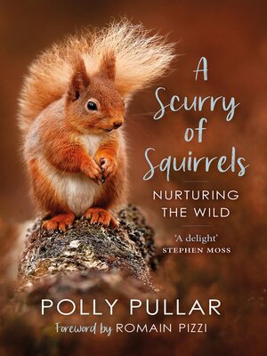 cover image of A Scurry of Squirrels